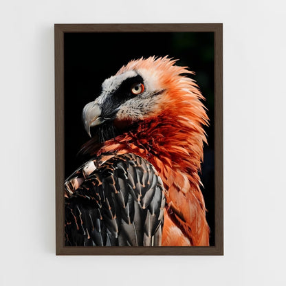 ap-vulture-1 cadre Bois foncé
