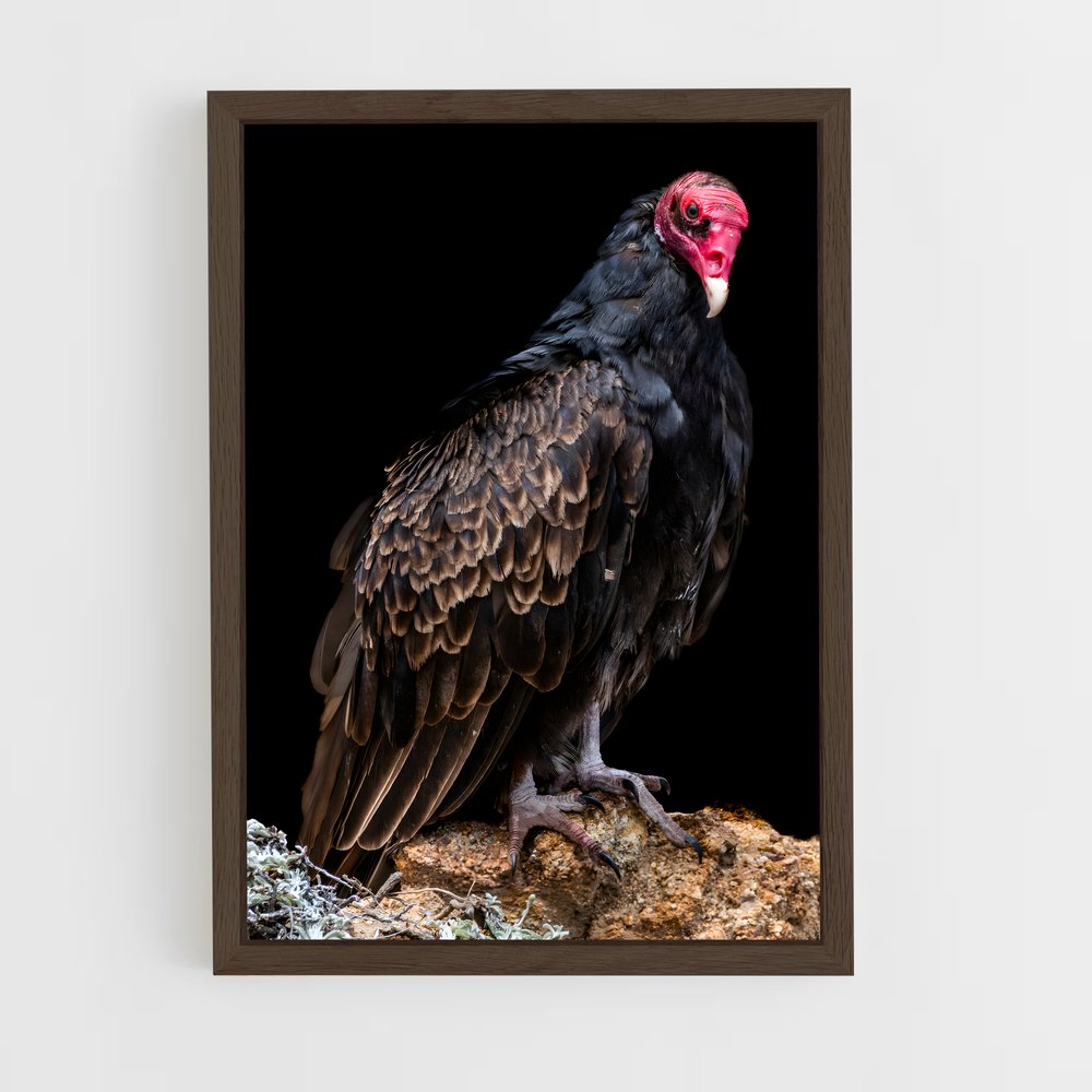 ap-vulture-3 cadre Bois foncé