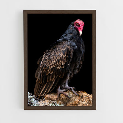 ap-vulture-3 cadre Bois foncé
