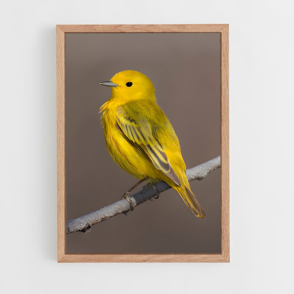 ap-warbler-4 cadre Bois clair