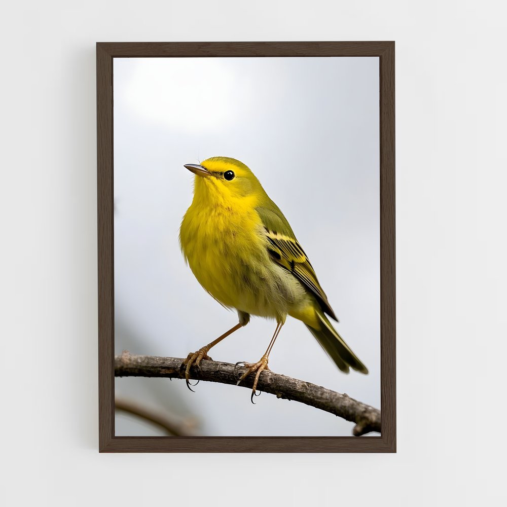 ap-warbler-5 cadre Bois foncé