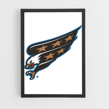 ap-washington capitals-4 cadre Noir