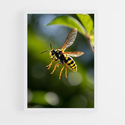 ap-wasp-12 cadre Blanc
