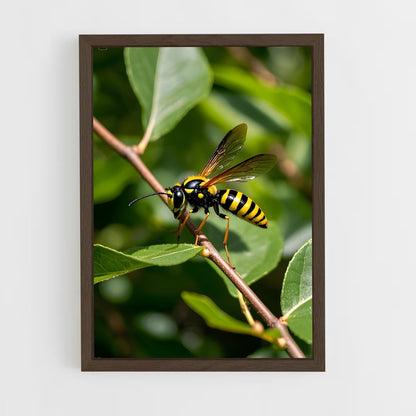 ap-wasp-13 cadre Bois foncé
