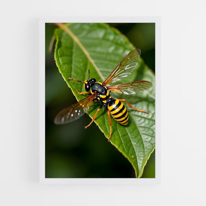ap-wasp-14 cadre Blanc