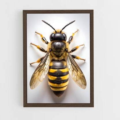 ap-wasp-15 cadre Bois foncé
