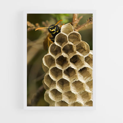 ap-wasp-18 cadre Blanc