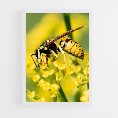 ap-wasp-20 cadre Blanc