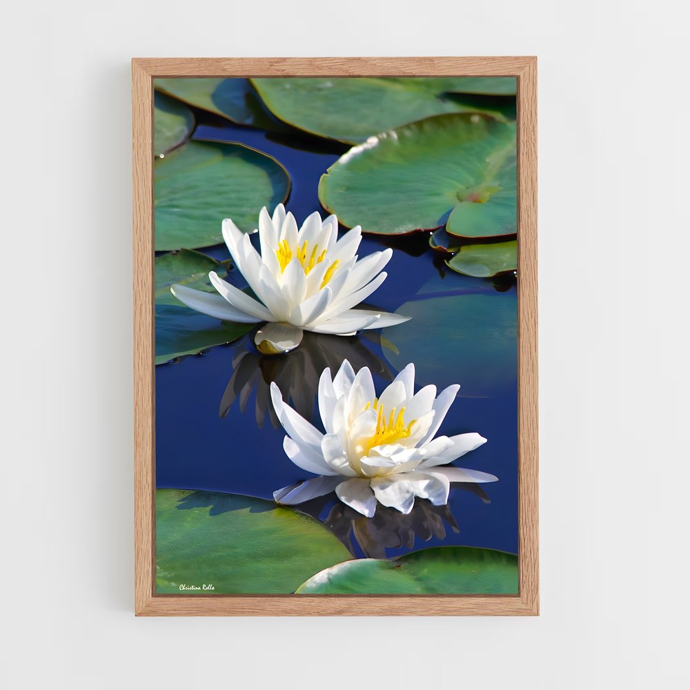 ap-water lily-3 cadre Bois clair