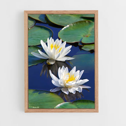 ap-water lily-3 cadre Bois clair