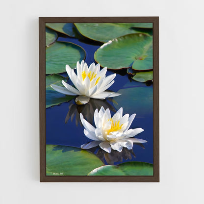 ap-water lily-3 cadre Bois foncé
