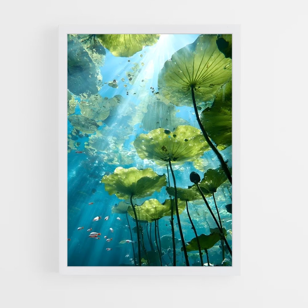 ap-water lily-4 cadre Blanc