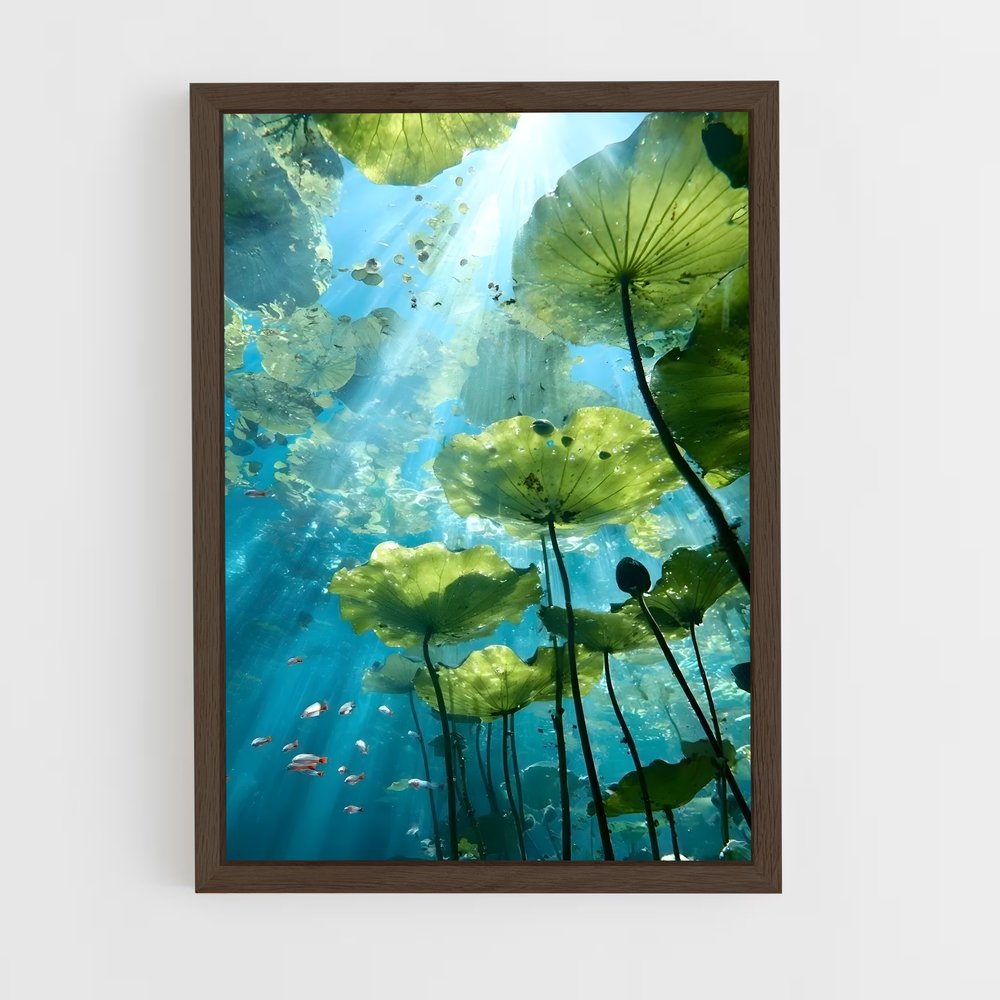 ap-water lily-4 cadre Bois foncé