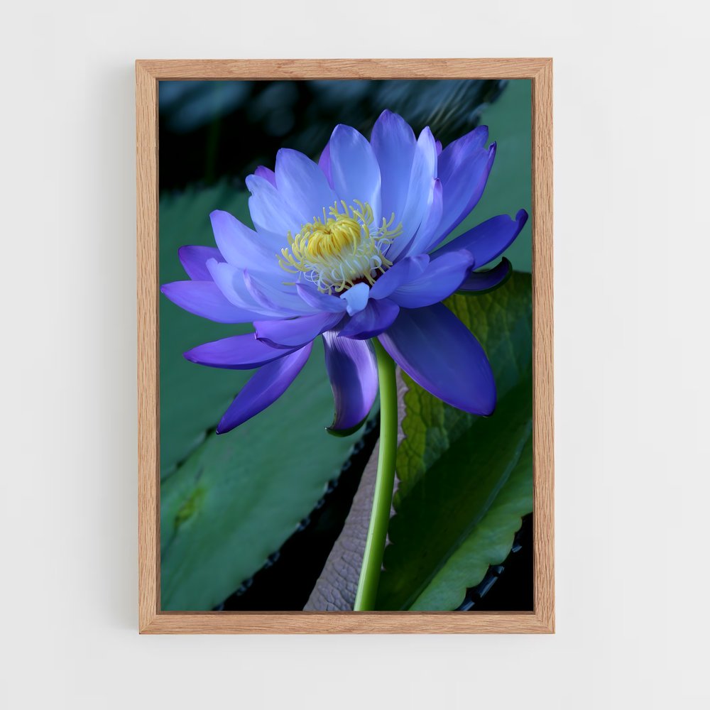 ap-water lily-6 cadre Bois clair