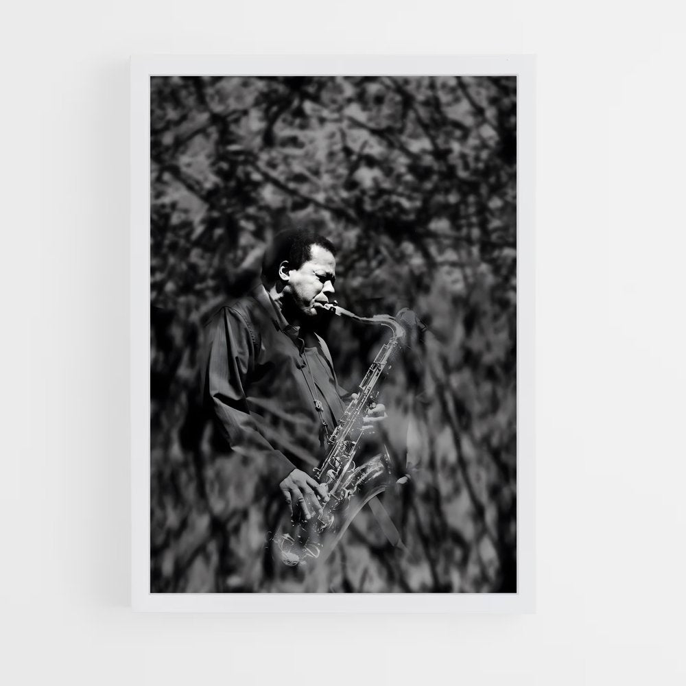 ap-wayne shorter-6 cadre Blanc