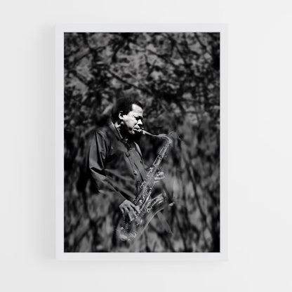 ap-wayne shorter-6 cadre Blanc