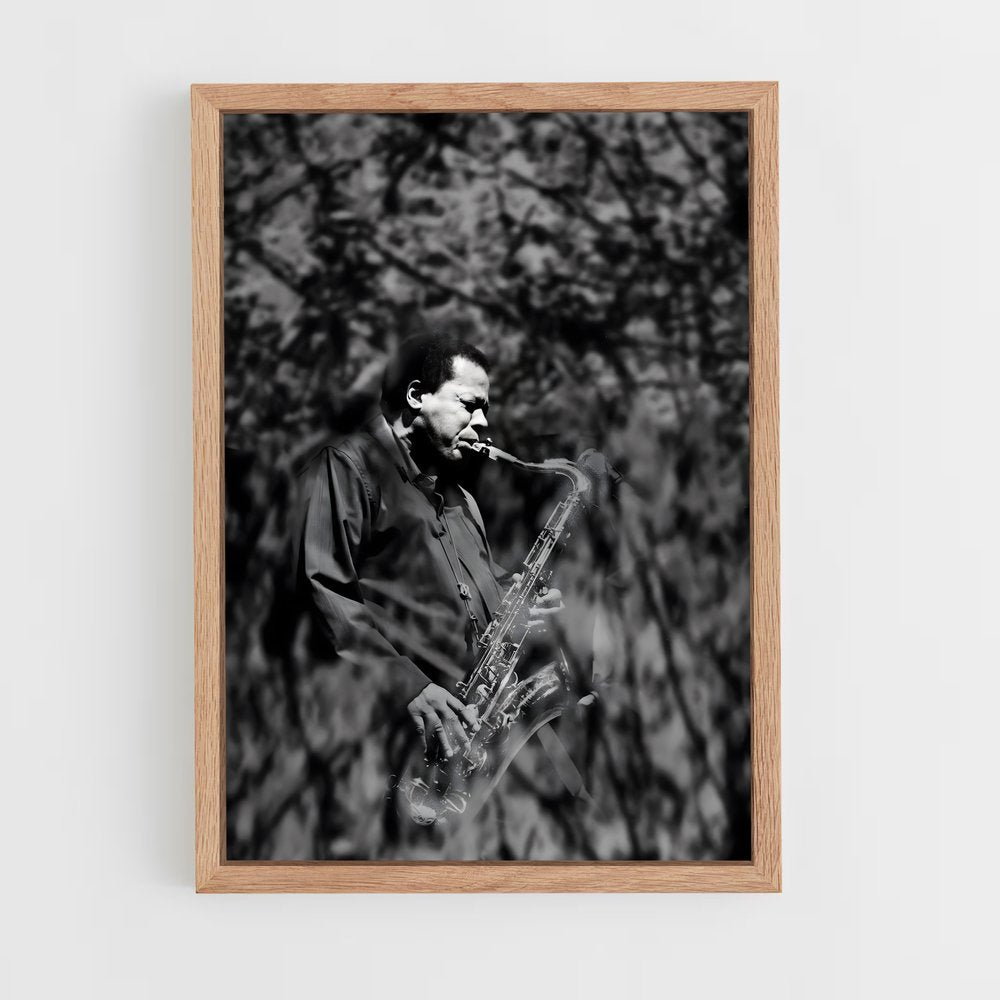 ap-wayne shorter-6 cadre Bois clair