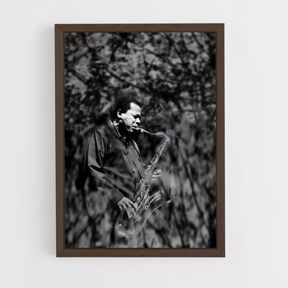ap-wayne shorter-6 cadre Bois foncé