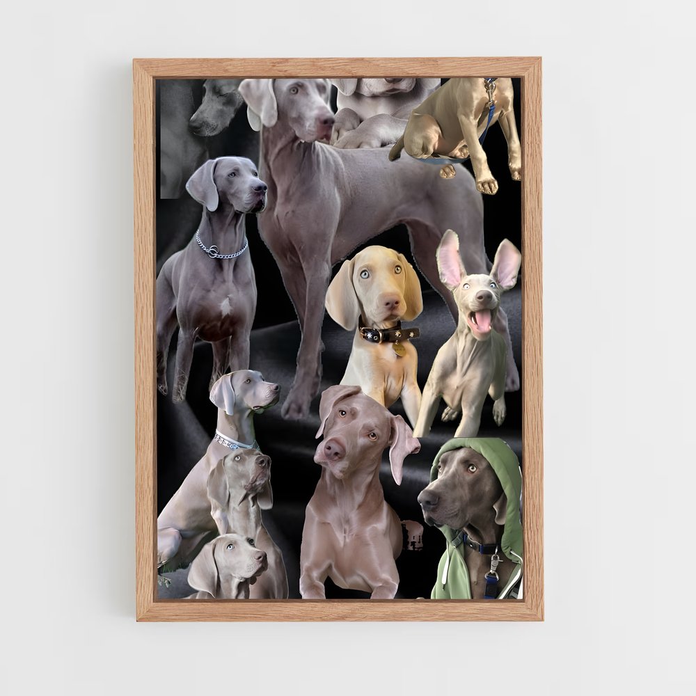 ap-weimaraner-5 cadre Bois clair