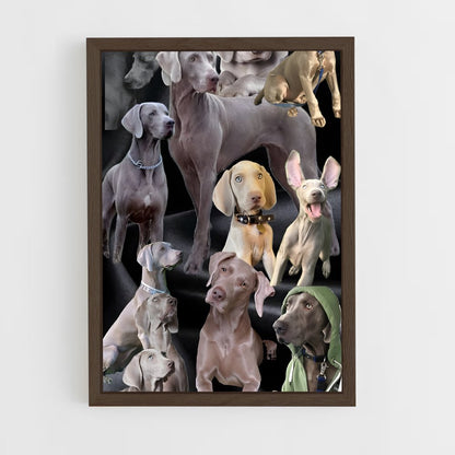 ap-weimaraner-5 cadre Bois foncé
