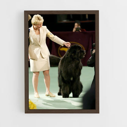 ap-westminster dog show-3 cadre Bois foncé