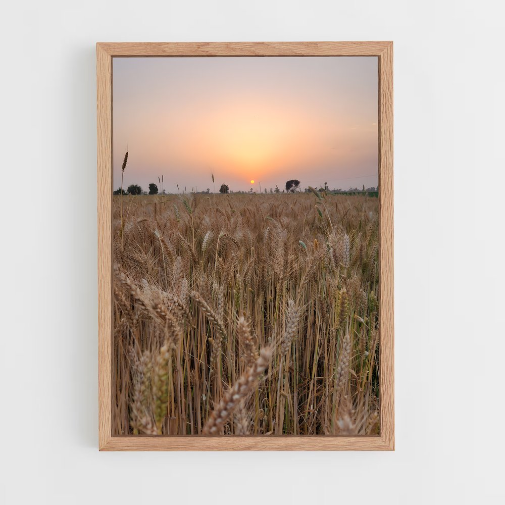 ap-wheat-1 cadre Bois clair