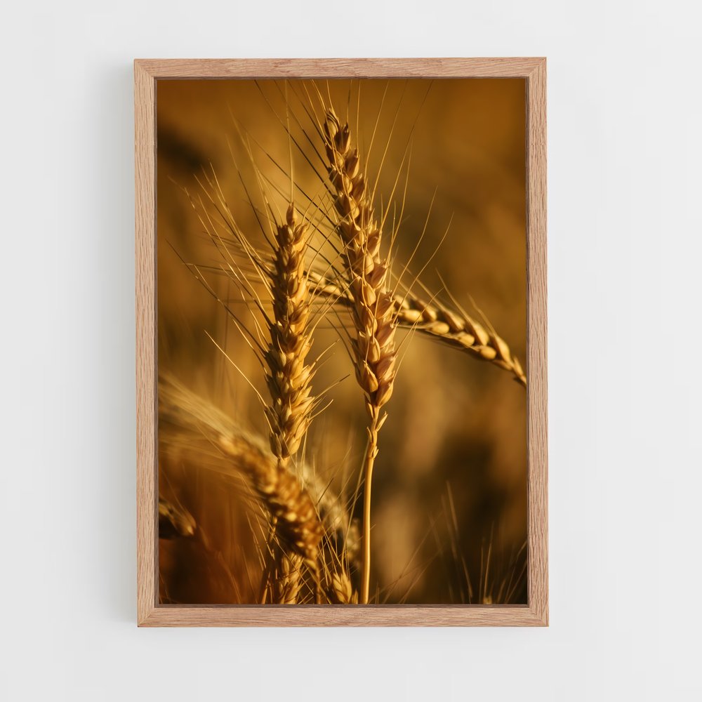 ap-wheat-2 cadre Bois clair