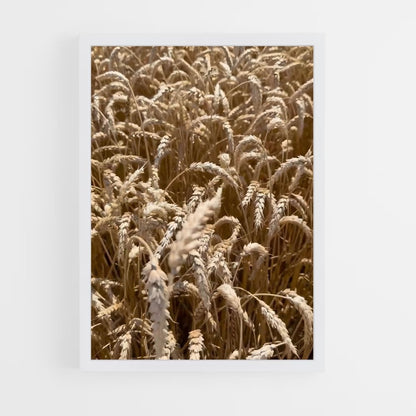 ap-wheat-3 cadre Blanc