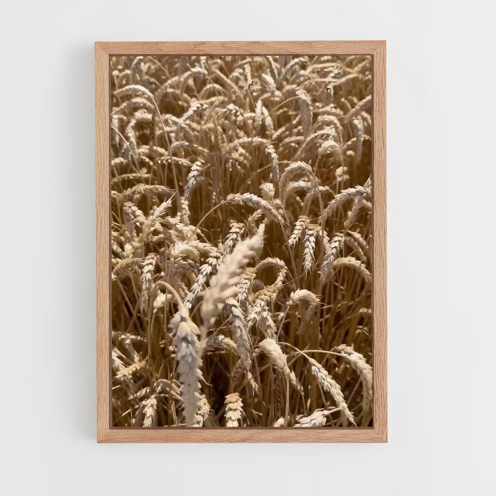 ap-wheat-3 cadre Bois clair