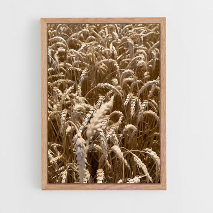 ap-wheat-3 cadre Bois clair