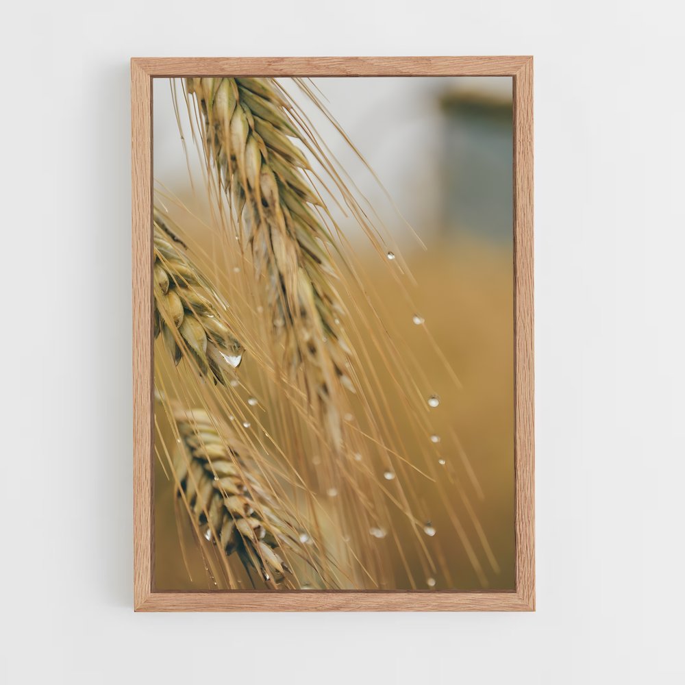ap-wheat-5 cadre Bois clair