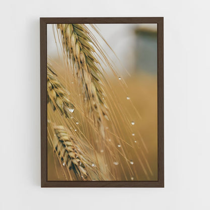ap-wheat-5 cadre Bois foncé