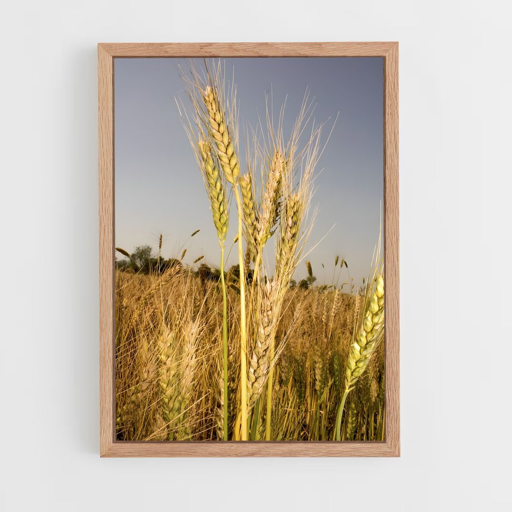 ap-wheat-6 cadre Bois clair