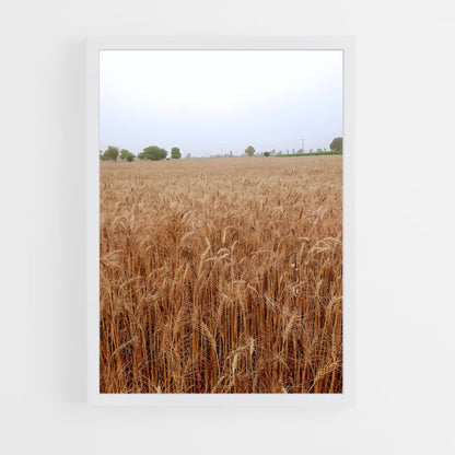 ap-wheat-7 cadre Blanc