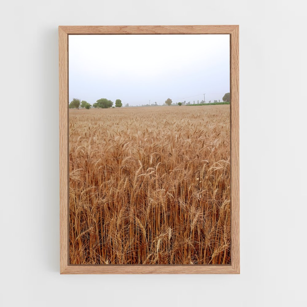 ap-wheat-7 cadre Bois clair