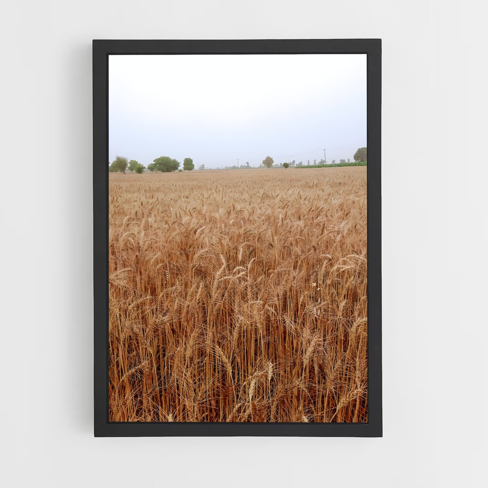 ap-wheat-7 cadre Noir