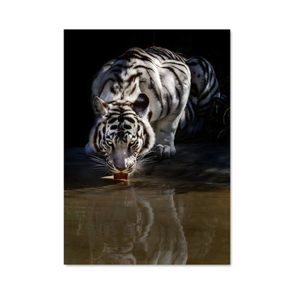 Poster L'Élégance du Tigre Blanc