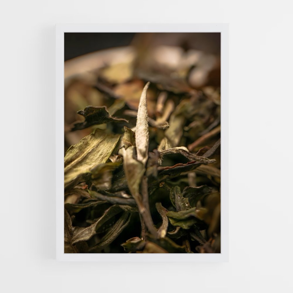 ap-white tea-4 cadre Blanc