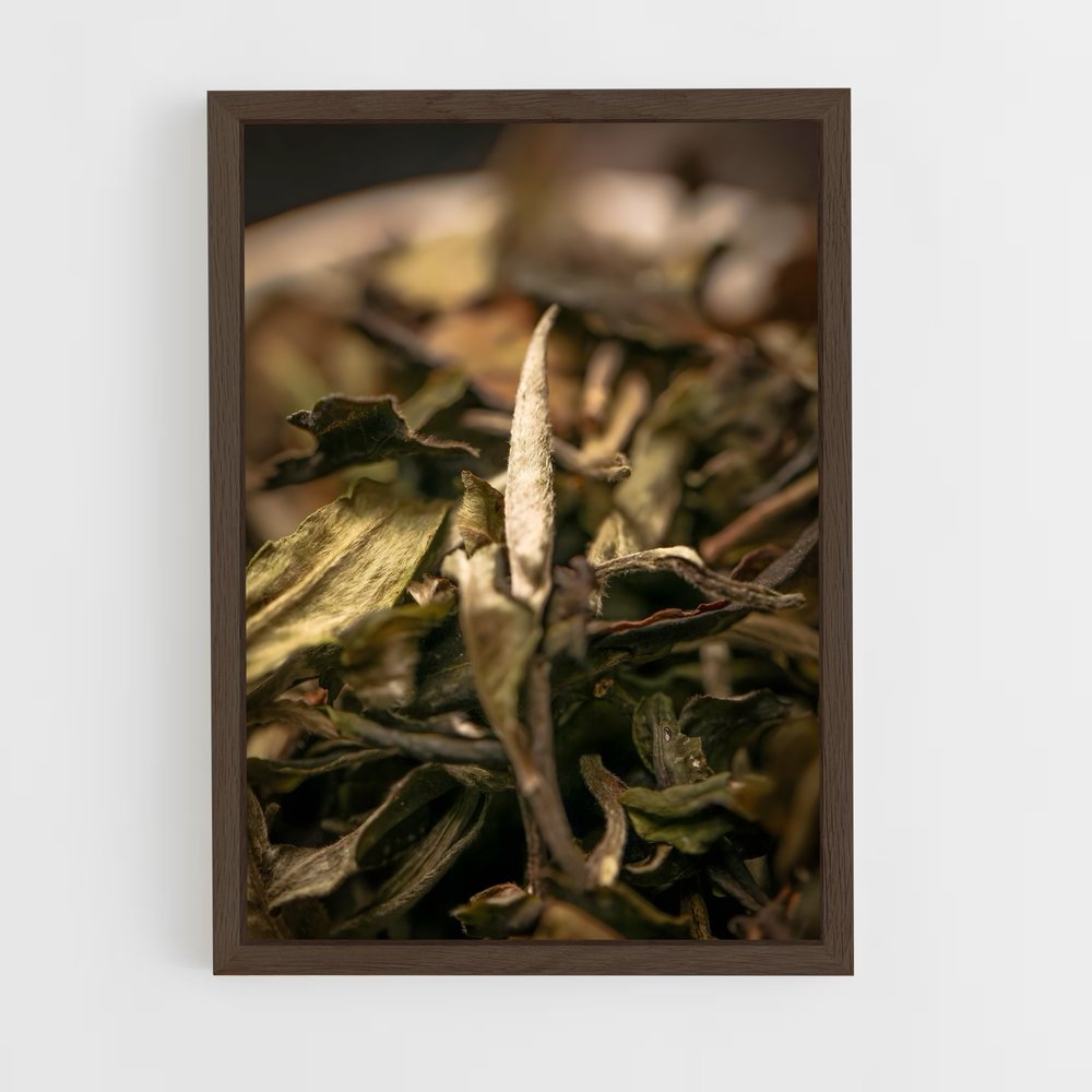 ap-white tea-4 cadre Bois foncé