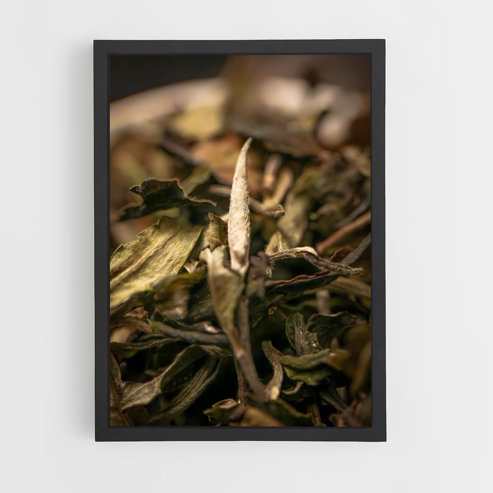 ap-white tea-4 cadre Noir