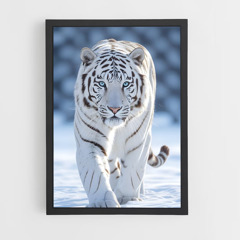 ap-white tiger-10 cadre Noir
