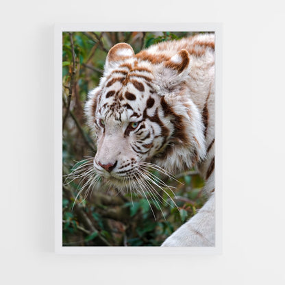 ap-white tiger-11 cadre Blanc