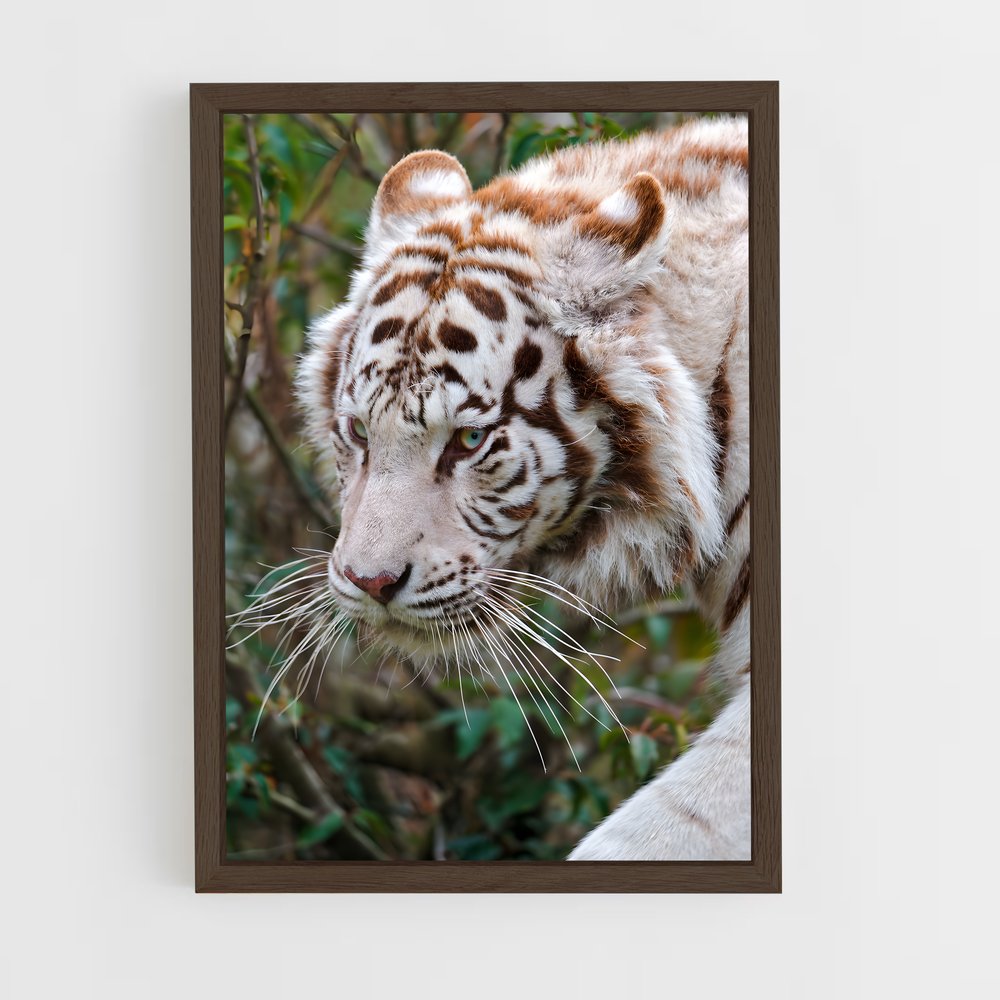 ap-white tiger-11 cadre Bois foncé