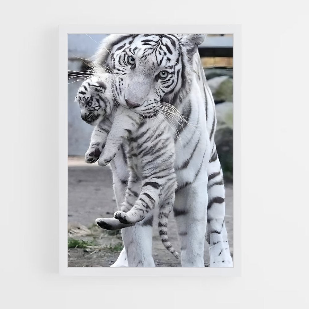ap-white tiger-13 cadre Blanc