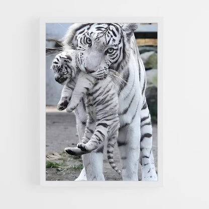 ap-white tiger-13 cadre Blanc
