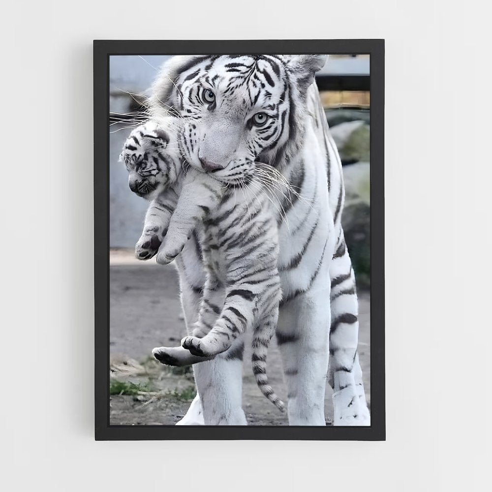 ap-white tiger-13 cadre Noir