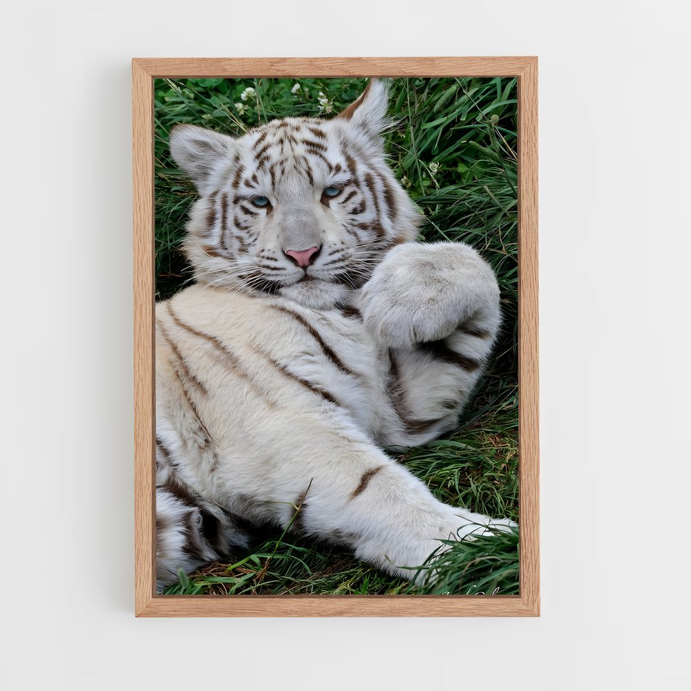 ap-white tiger-14 cadre Bois clair