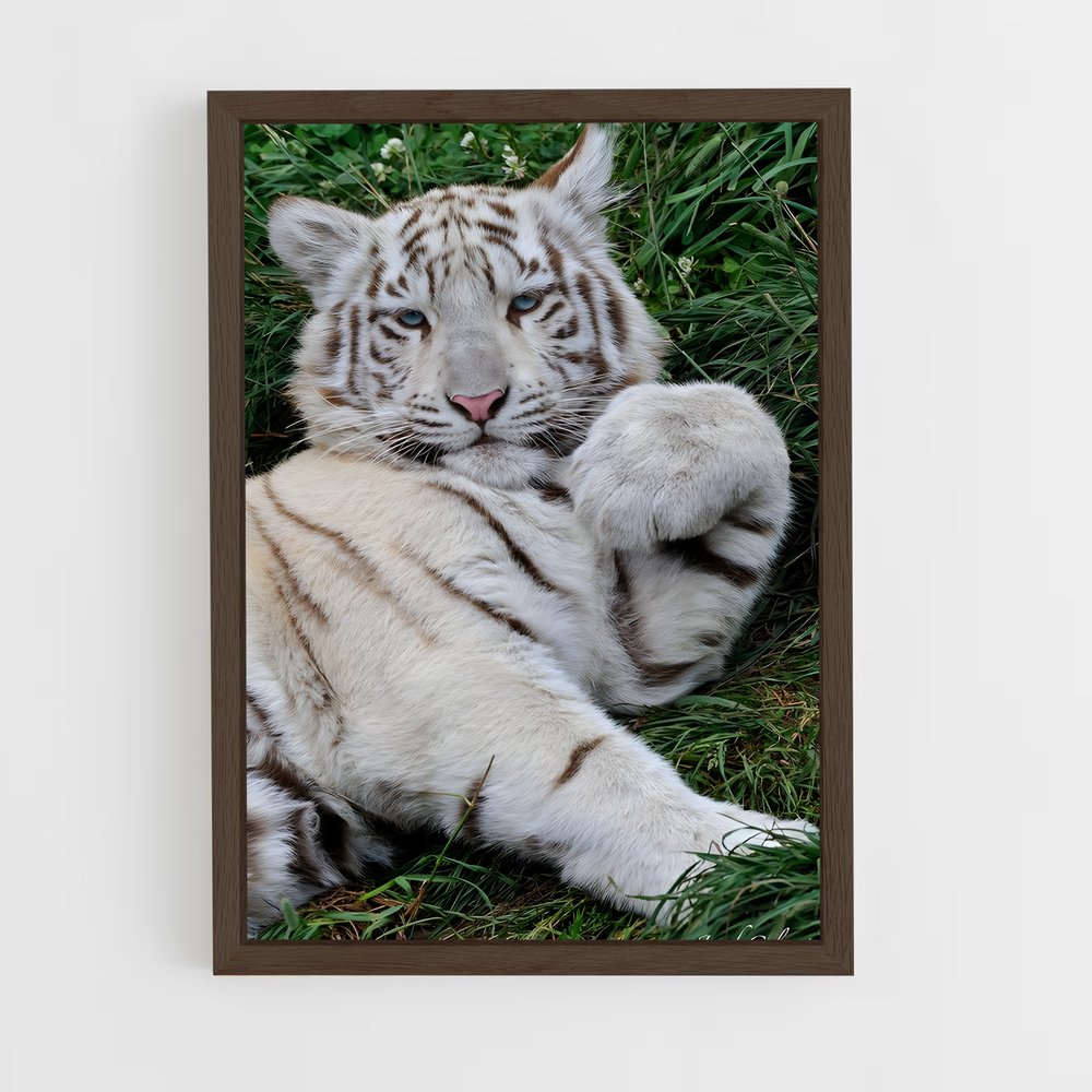 ap-white tiger-14 cadre Bois foncé