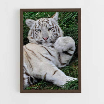 ap-white tiger-14 cadre Bois foncé