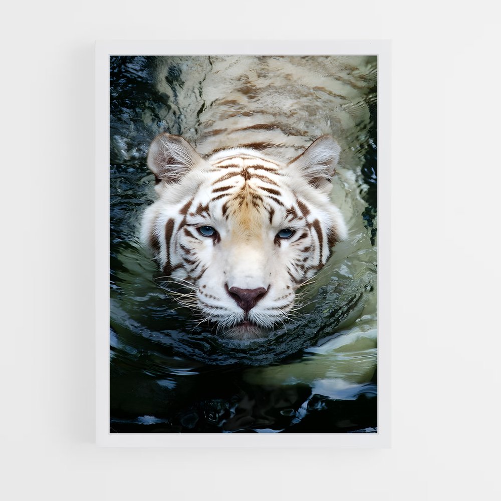 ap-white tiger-15 cadre Blanc
